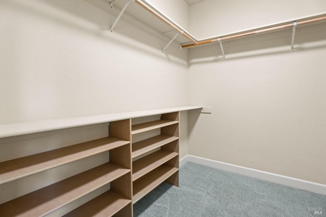 walk in closet with carpet floors