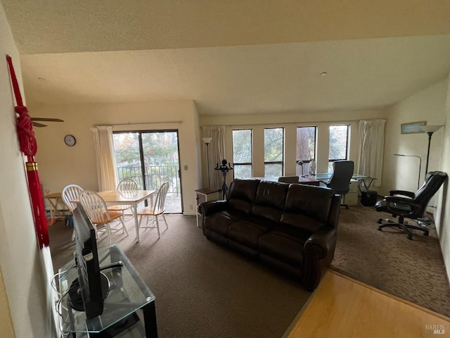 carpeted living room with vaulted ceiling