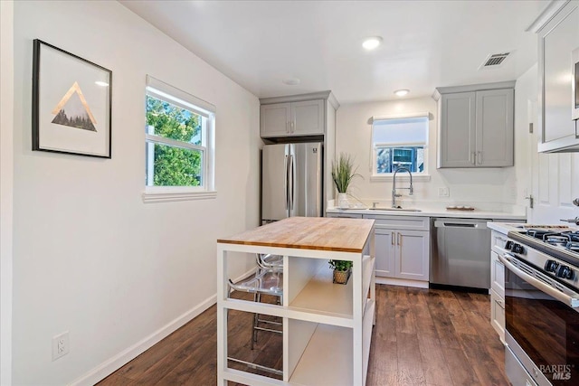 kitchen featuring sink, dark hardwood / wood-style flooring, butcher block countertops, gray cabinets, and appliances with stainless steel finishes