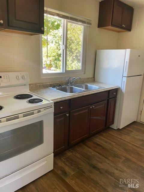 kitchen with dark brown cabinetry, dark hardwood / wood-style flooring, white appliances, and sink