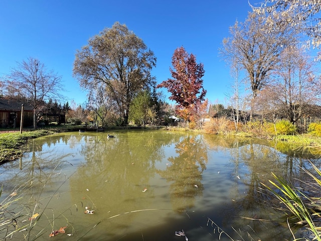 property view of water