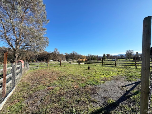 view of yard with a rural view