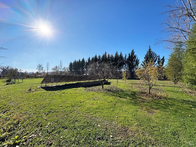 view of yard with a rural view