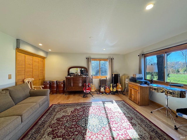 living room with light hardwood / wood-style flooring