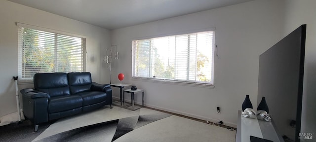 sitting room featuring carpet