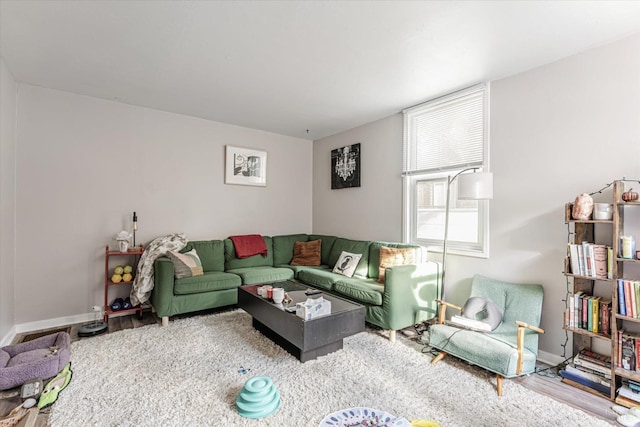 living room with hardwood / wood-style floors