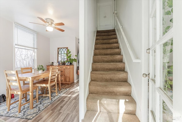 staircase featuring hardwood / wood-style flooring and ceiling fan