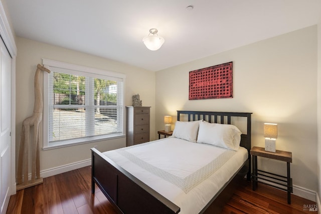 bedroom featuring dark wood-type flooring