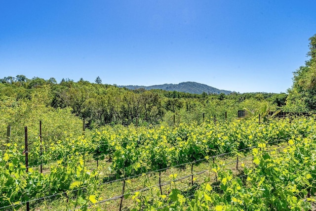 view of mountain feature