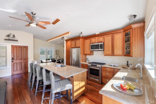 kitchen featuring dark hardwood / wood-style flooring, stainless steel appliances, vaulted ceiling, and sink