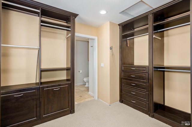 spacious closet featuring light colored carpet