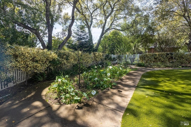 view of property's community featuring a lawn