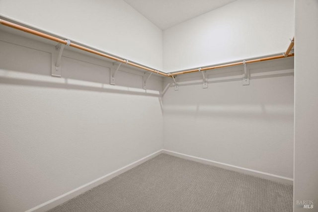 walk in closet with carpet