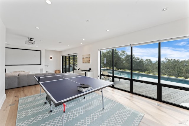 recreation room with wood-type flooring