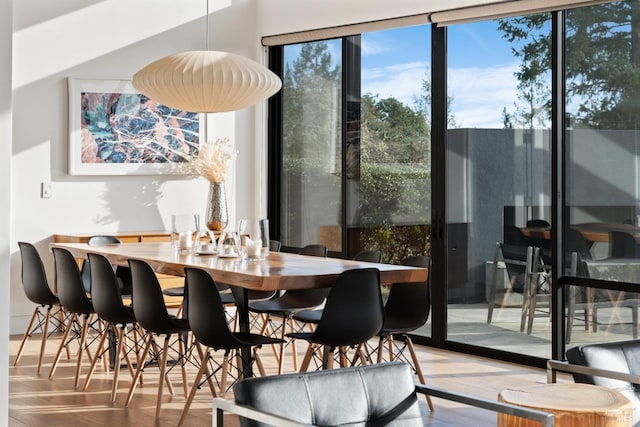 dining area with wood-type flooring and a wealth of natural light