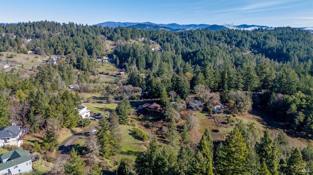 aerial view with a mountain view