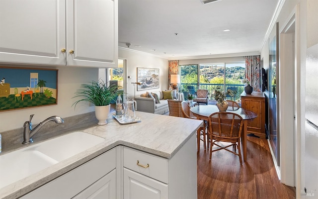 kitchen with dark hardwood / wood-style floors, crown molding, white cabinetry, and sink