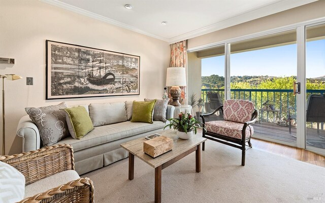 living room with light hardwood / wood-style floors and ornamental molding