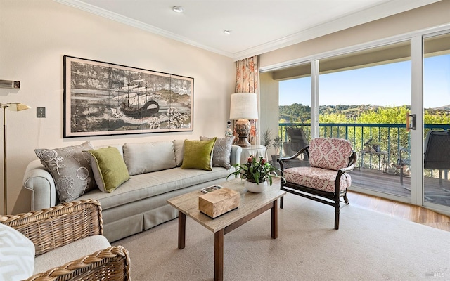 living room with ornamental molding and light hardwood / wood-style flooring