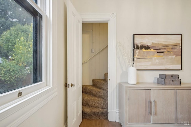 stairs featuring a wealth of natural light and wood-type flooring