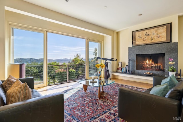 living room featuring a mountain view, wood-type flooring, and a wealth of natural light