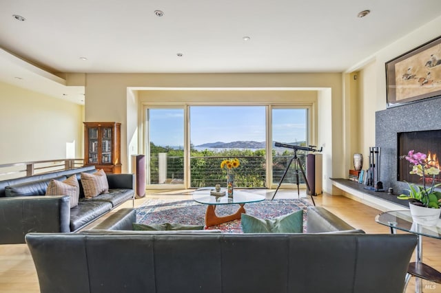 living room with a mountain view and light hardwood / wood-style floors