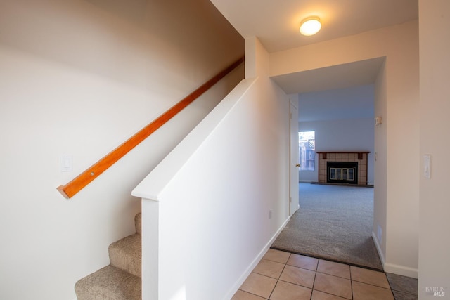 stairs featuring a fireplace and carpet floors