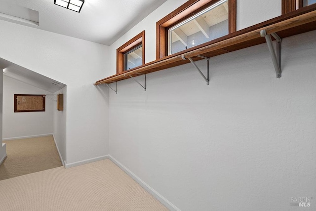 spacious closet with carpet