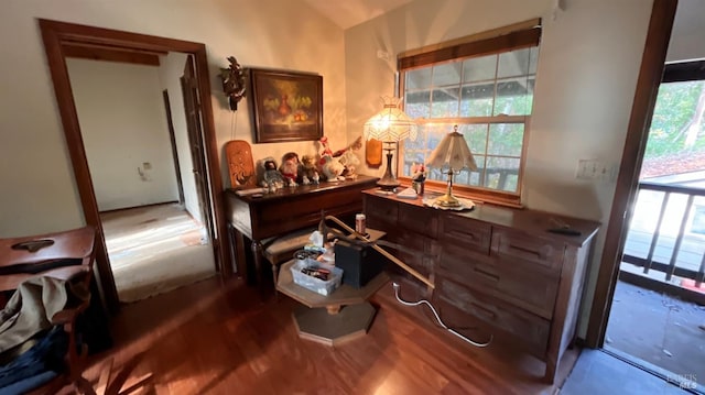 interior space with a healthy amount of sunlight and wood-type flooring