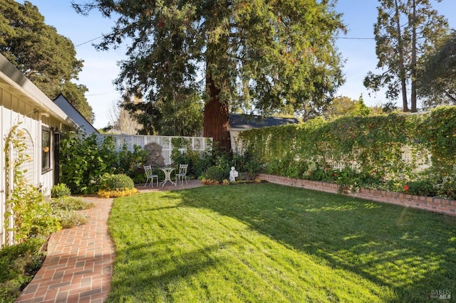 view of yard with a patio