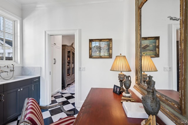 office featuring ornamental molding and sink