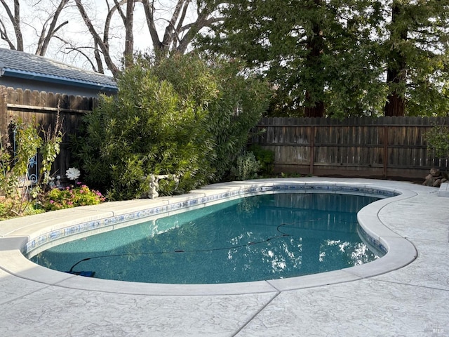 view of swimming pool