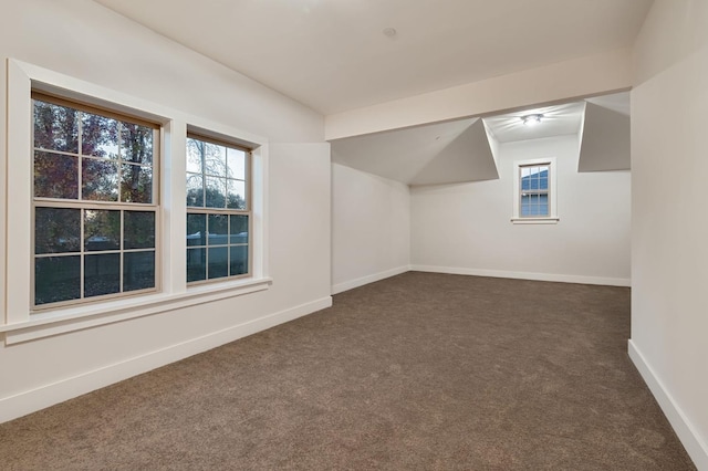 bonus room with dark carpet