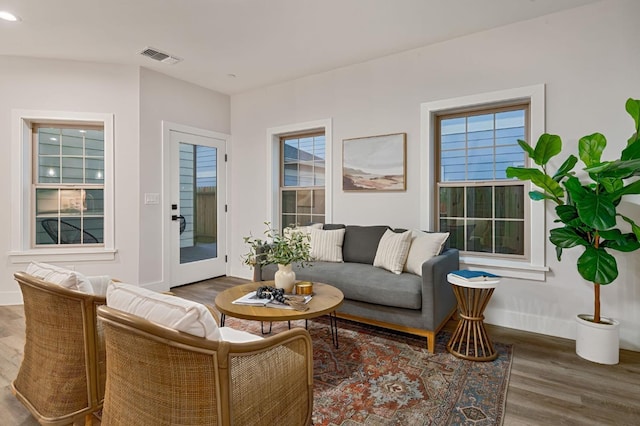 living room featuring dark wood-type flooring