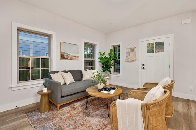 living room with light hardwood / wood-style floors