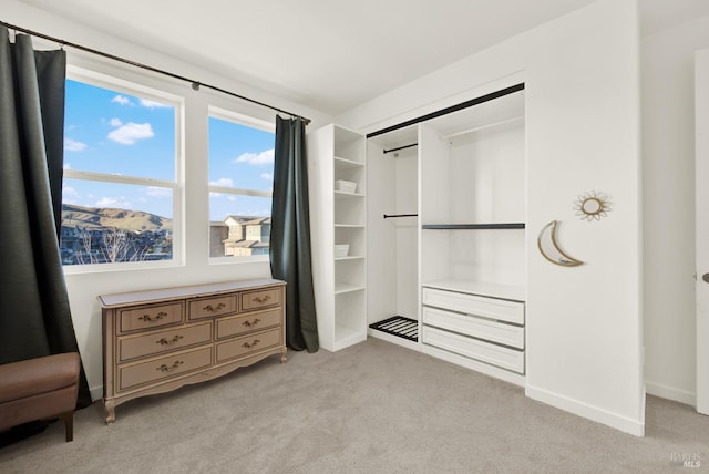 carpeted bedroom with a mountain view and a closet