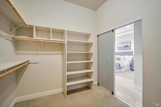 walk in closet with carpet