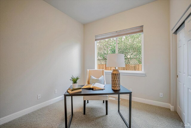 office with carpet floors