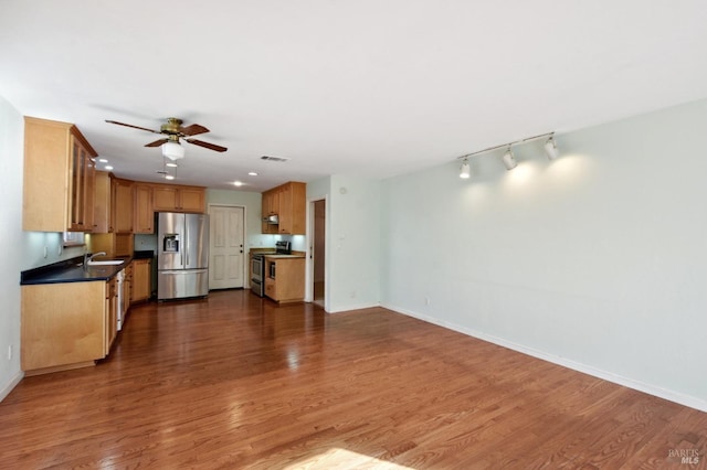 kitchen with dark hardwood / wood-style floors, ceiling fan, sink, and stainless steel appliances