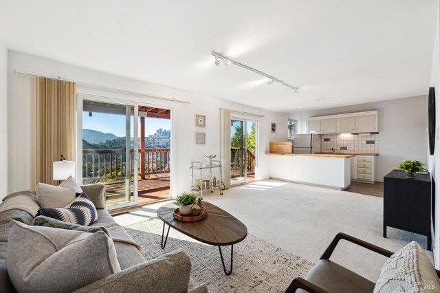 carpeted living room with a mountain view and track lighting