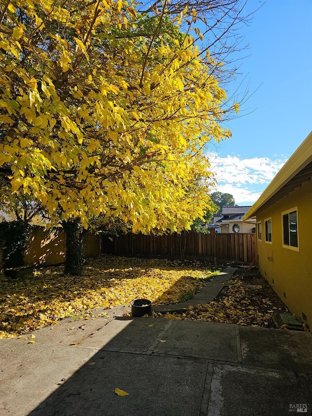 view of yard with a patio