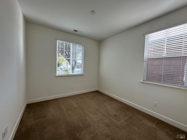 carpeted spare room featuring a wealth of natural light