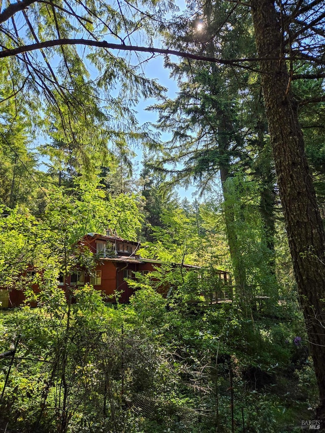 29500 Timberline Rd, Willits, CA 95490 - view of yard featuring a wooded view