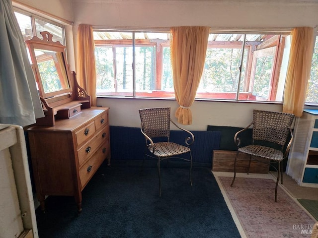 sitting room with plenty of natural light and carpet flooring