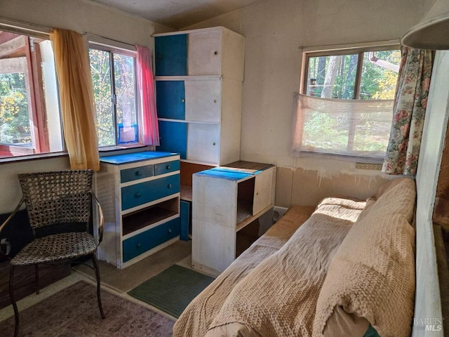 bedroom featuring lofted ceiling