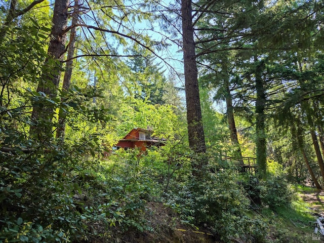 29500 Timberline Rd, Willits, CA 95490 - view of wooded area