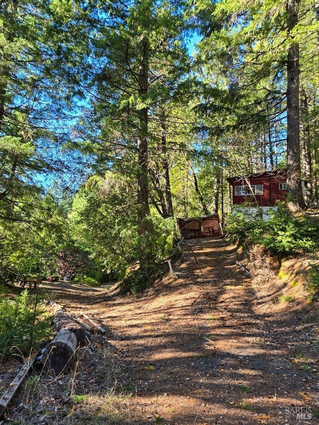 29500 Timberline Rd, Willits, CA 95490 - view of yard