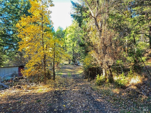 view of road featuring a view of trees