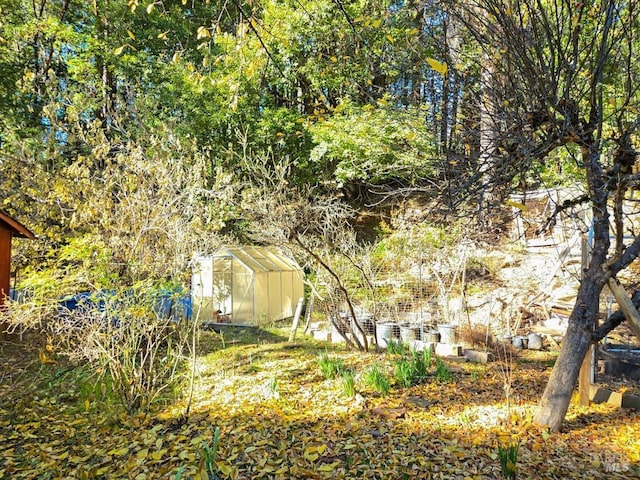 view of yard featuring an outbuilding and a greenhouse