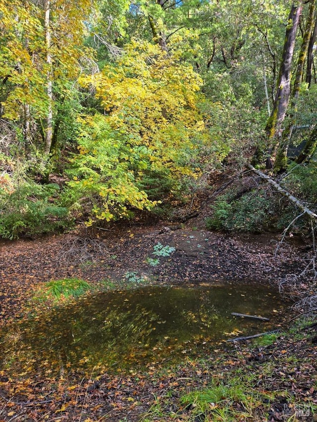 view of landscape with a wooded view